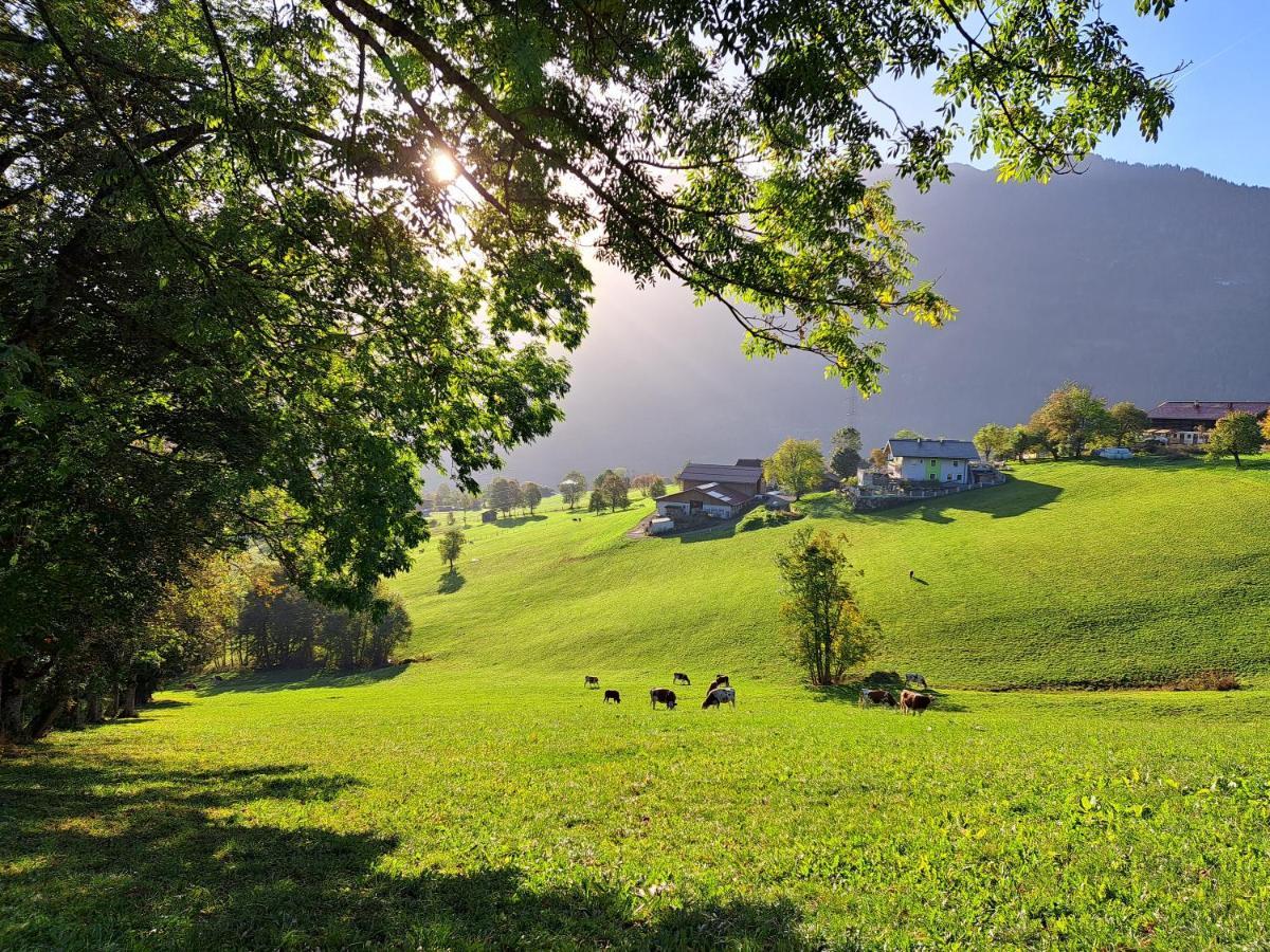 Knollgut Ferienwohnung Buchberg Goldegg Esterno foto