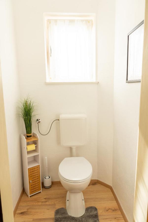 Knollgut Ferienwohnung Buchberg Goldegg Esterno foto