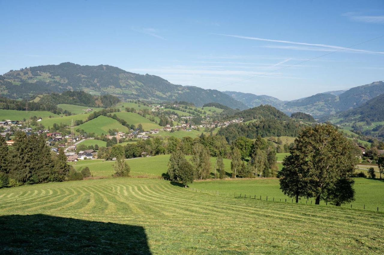 Knollgut Ferienwohnung Buchberg Goldegg Esterno foto